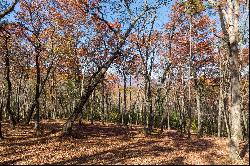 Beautiful Ridge Top View Homesite