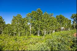 Gorgeous Wooded Lot in Upper Timber Lakes Ready to Build your Mountain Retreat!