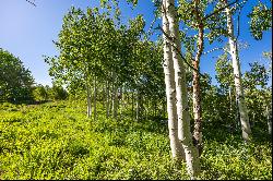 Gorgeous Wooded Lot in Upper Timber Lakes Ready to Build your Mountain Retreat!