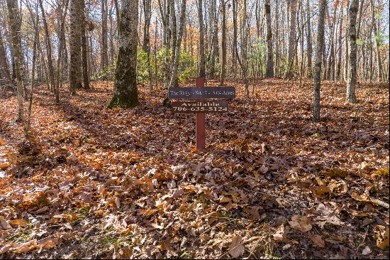 Outstanding Homesite on a Broad, Gentle Hardwood Ridge