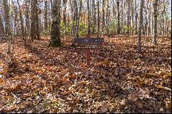 Outstanding Homesite on a Broad, Gentle Hardwood Ridge