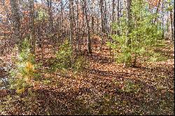 Outstanding Homesite on a Broad, Gentle Hardwood Ridge