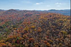 Outstanding Homesite on a Broad, Gentle Hardwood Ridge