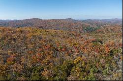 Outstanding Homesite on a Broad, Gentle Hardwood Ridge