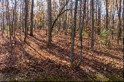 Outstanding Homesite on a Broad, Gentle Hardwood Ridge