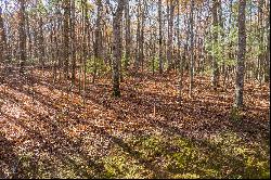 Outstanding Homesite on a Broad, Gentle Hardwood Ridge