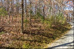 Outstanding Homesite on a Broad, Gentle Hardwood Ridge