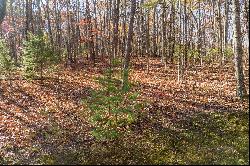 Outstanding Homesite on a Broad, Gentle Hardwood Ridge