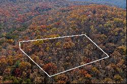 Outstanding Homesite on a Broad, Gentle Hardwood Ridge