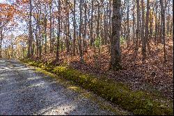 Outstanding Homesite on a Broad, Gentle Hardwood Ridge