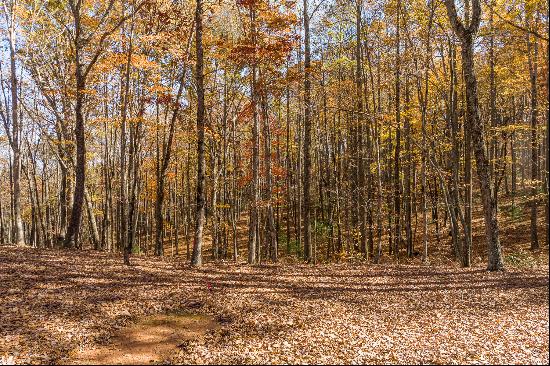 Excellent Views From This Site With Mature Hardwoods