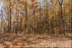 Excellent Views From This Site With Mature Hardwoods