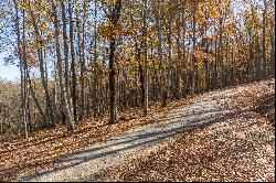 Excellent Views From This Site With Mature Hardwoods