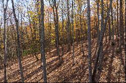 Excellent Views From This Site With Mature Hardwoods