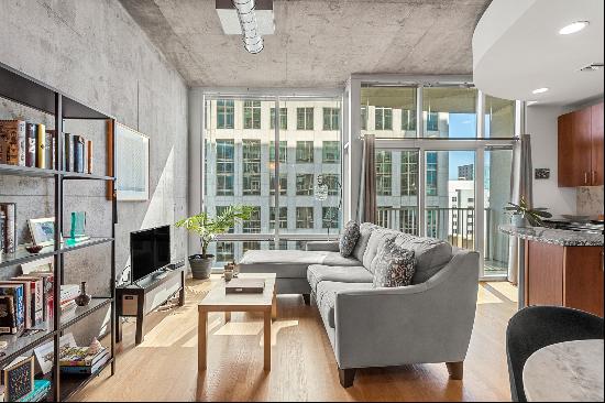 Ninth Floor Condo Provides Beautiful Cityscape Vistas