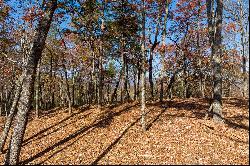 Peaceful Ridge Top View Homesite