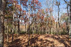 Peaceful Ridge Top View Homesite