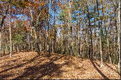 Peaceful Ridge Top View Homesite