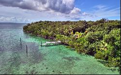 The Botanical Sanctuary on Manjack Cay - MLS 59778