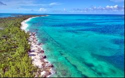 The Botanical Sanctuary on Manjack Cay - MLS 59778