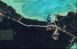 200 Acres Prime Beachfront, Mangrove Cay - MLS 59814