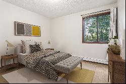 Minnetonka Condo