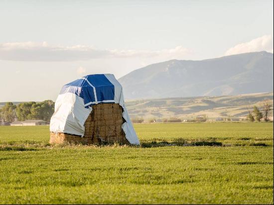 313 Acres For Belgrade Montana