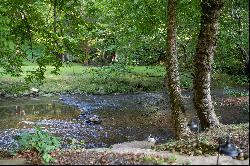 Idyllic Creekside Oasis