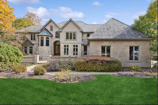 8625 Timber Ridge Drive, Burr Ridge, IL, 60527, USA