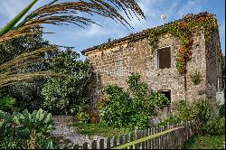 Charming country house among the vineyards of Melizzano