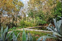 Charming country house among the vineyards of Melizzano