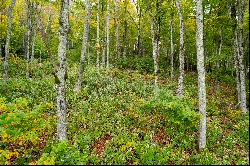 BANNER ELK - THE LODGES AT EAGLES NEST