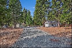 21985 Shake Ridge Road, Volcano, CA 95689