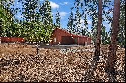 22079 Shake Ridge Road, Volcano, CA 95689