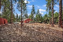 22079 Shake Ridge Road, Volcano, CA 95689