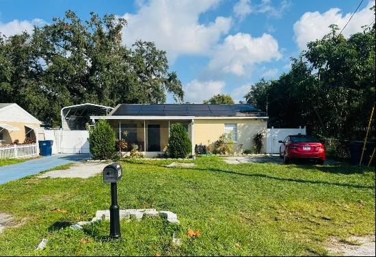 3905 W Pine Street, Tampa FL 33607