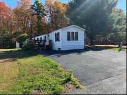 31 Walnut Park Lane, Marlboro NY 12547