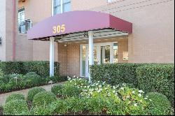 305 Brooke Avenue Unit 101, Norfolk VA 23510