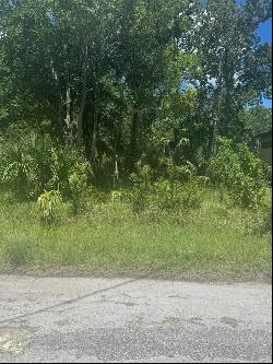 Lot 289 Cutlass Drive, Hudson FL 34667