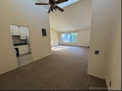 123 Olcott Way #123, Ridgefield CT 06877