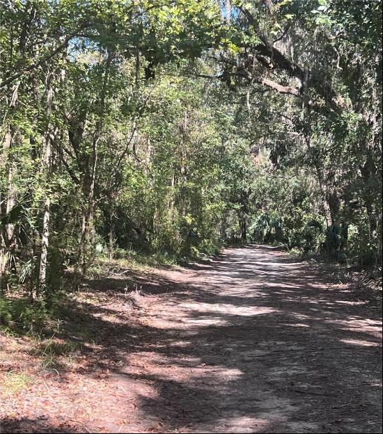 0 Cheyenne Pass, Brooksville FL 34601