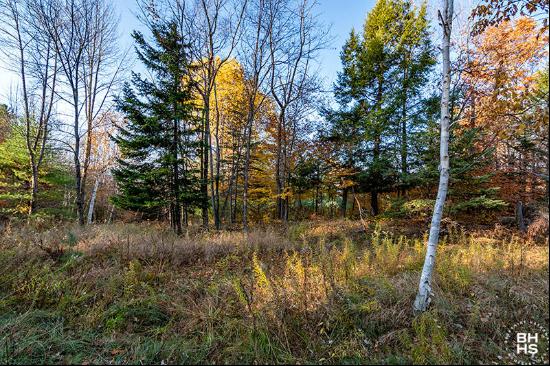 Saranac Lake