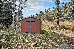 28532 Shadow Mountain Drive, Conifer CO 80433