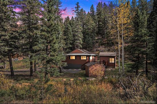 28532 Shadow Mountain Drive, Conifer CO 80433