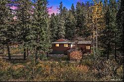 28532 Shadow Mountain Drive, Conifer CO 80433