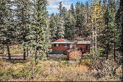 28532 Shadow Mountain Drive, Conifer CO 80433