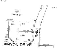 Pine Ridge Dr #71, Manzanita OR 97130