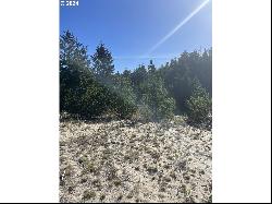 Pine Ridge Dr #71, Manzanita OR 97130