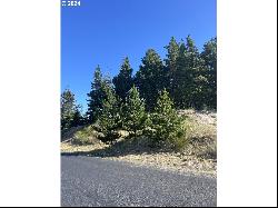 Pine Ridge Dr #141, Manzanita OR 97130