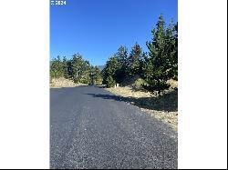 Pine Ridge Dr #141, Manzanita OR 97130